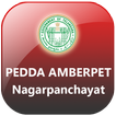 PeddaAmberpet Municipality