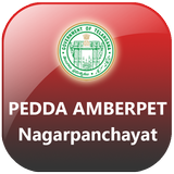 PeddaAmberpet Municipality icône