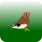 VogelMarkt.net icon