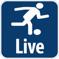 Live Soccer Scores Worldwide
