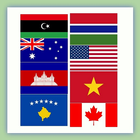 Flag Country Challenge ikona