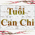 Tuổi Can Chi