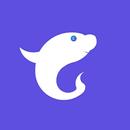 Cser APK