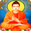 Sự Tích Về Đức Phật Và Bồ Tát