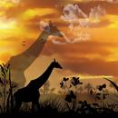 African Scene APK