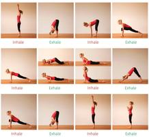 Yoga exercises for beginners تصوير الشاشة 1