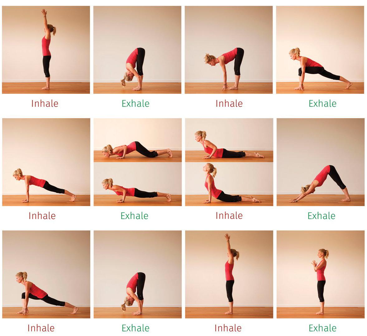 Yoga Exercises Beginners Yoga Exercises Beginners