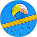 Volleyball APK
