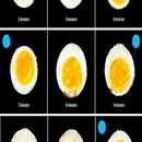 Variety Egg Timer APK