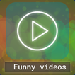 Funny Videos 2017