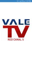 VALE TV ポスター