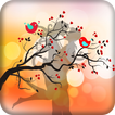Bokeh Effect - Filter Effects