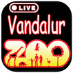Live Vandaloor Zoo