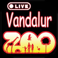 Live Vandaloor Zoo Plakat