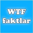 WTF faktlar-icoon