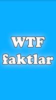 WTF faktlar poster