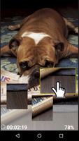 Funny Bulldog logic game poster