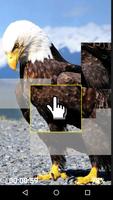 Eagle in sky logic game capture d'écran 1
