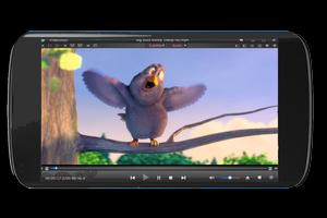 video player pro Affiche