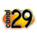 APK Canal 29 Quilmes Visión