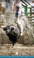 Bull Rodeo Live Wallpaper APK Herunterladen