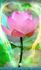 Lotus Live Wallpaper APK Herunterladen