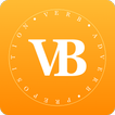 VerbBusters Phrasal Verbs
