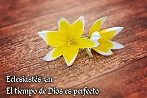 Imágenes con Versículos Cristianos ภาพหน้าจอ 1