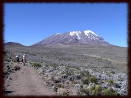 Mount Kilimanjaro Wallpapers 海报