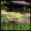 japanese gardens Wallpapers