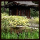japanese gardens Wallpapers 图标