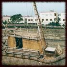 Reed Boats Wallpapers - Free 图标