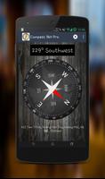 Compass 360 Pro capture d'écran 3