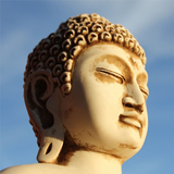 A quote from Buddha icône