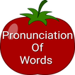 Pronunciation Of Words (Live)