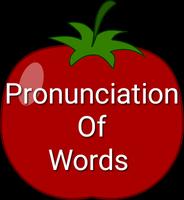 Pronunciation Of Words (Live) скриншот 3
