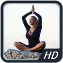 YogaGuru APK