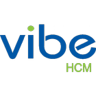 Vibe Pay icon