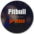 Pitbull Video