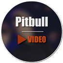 Pitbull Video APK