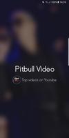 Pitbull Video ポスター