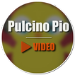 Pulcino Pio Video