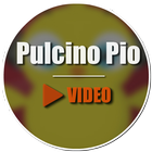 Pulcino Pio Video ไอคอน