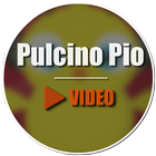 Pulcino Pio Video-icoon
