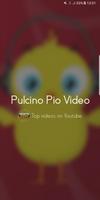 Pulcino Pio Video poster