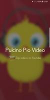 Pulcino Pio Video โปสเตอร์