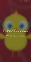 Pulcino Pio Video Affiche