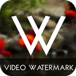 Video WaterMark