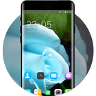 Theme for Videocon V1411 Blue rose Wallpaper ikona