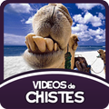 Vídeos de Chistes
